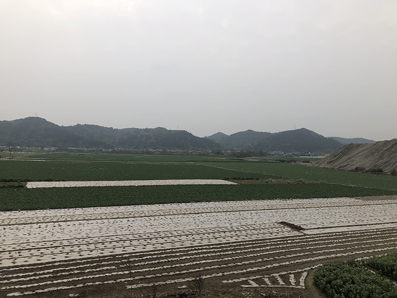 市、縣領(lǐng)導(dǎo)現(xiàn)場調(diào)研天馬50萬噸玻瓶項目(圖7) 市、縣領(lǐng)導(dǎo)現(xiàn)場調(diào)研天馬50萬噸玻瓶項目(圖7)